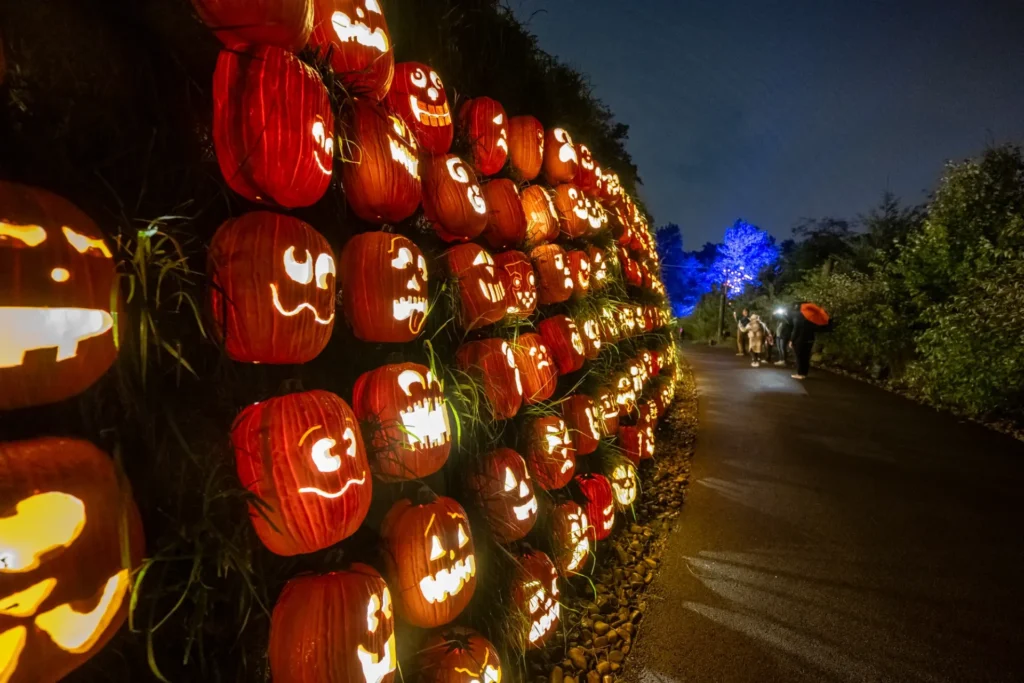 Jack O'Lantern Extravaganza