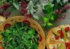 Maple Curry Salad Dressing A large bowl of fresh, leafy green salad with a smaller serving on a plate with pita bread