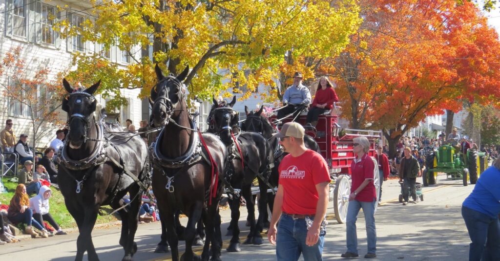 Horse-drawn carriage in a Pittsburgh fall festival parade with autumn leaves