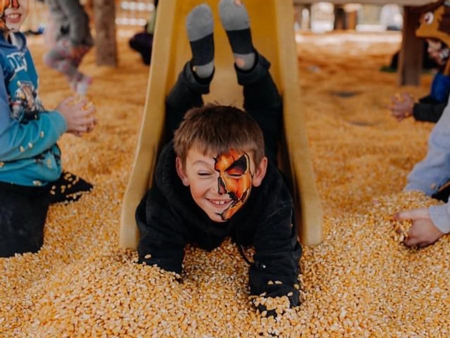 Boy with pumpkin face paint slides into corn pit at a Pittsburgh pumpkin patch.