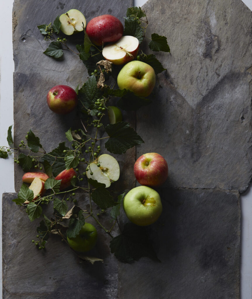Apples from Pittsburgh farms lay on black pieces of paper. 