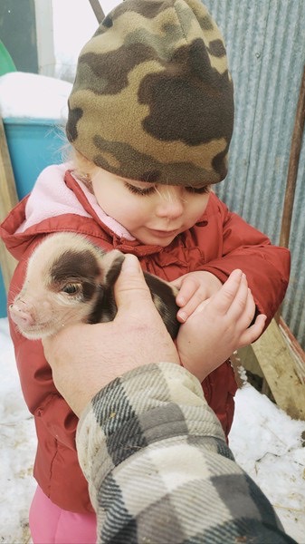 Child in a beanie holding a baby piglet, a cute farm animal