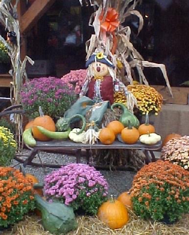 Fall harvest display with scarecrow, pumpkins, gourds, and mums at a Pittsburgh pumpkin patch.