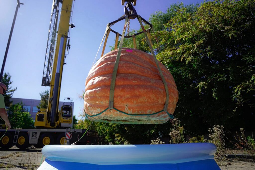 Giant pumpkin lifted by crane over inflatable pool, near Pittsburgh pumpkin patches.