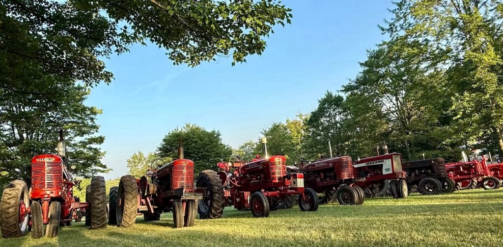 Red vintage tractors lined up at a Pittsburgh fall festival.