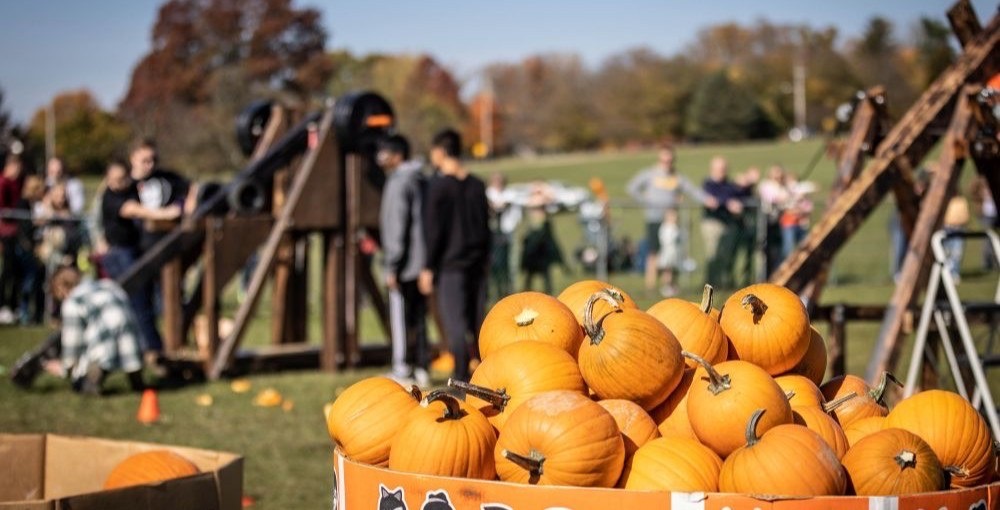 Pumpkins at a Pittsburgh fall festival with people in the background