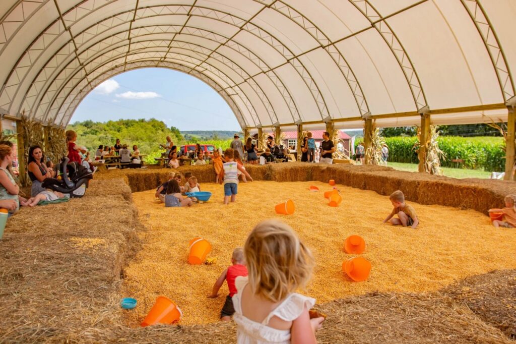 Kids play in a corn pit at a Pittsburgh pumpkin patch attraction.