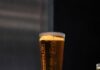Neil Glausier at Burghers Brewing Gives Us a Lesson on Tasting Beer A glass of beer under a light.
