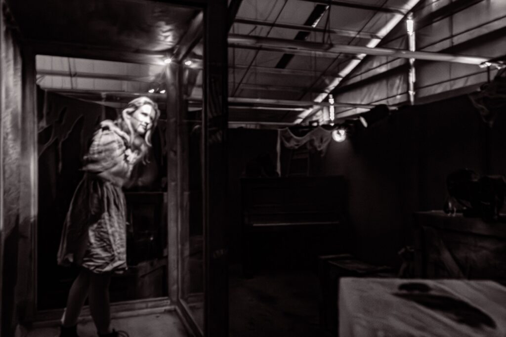 A marionette in her box in a haunted house.