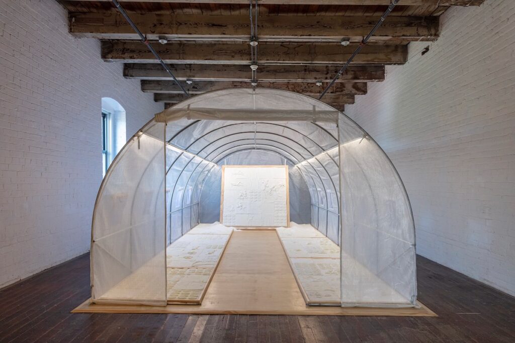 A garden greenhouse over an art exhibit in the Mattress Factory.