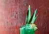 The Life of a Showgirl Cocktail, Inspired by Taylor Swift A vibrant aqua green cocktail in a tall glass with pineapple leaves, a pineapple wedge and lime wedge as garnish with an orange rose and rose petals in the foreground.