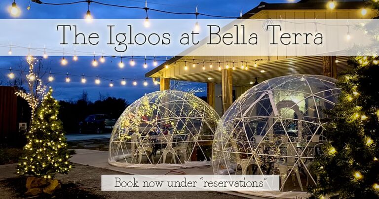 3961a7 f275d459fc0a4121a1deb75f2629f62fmv2 768x404