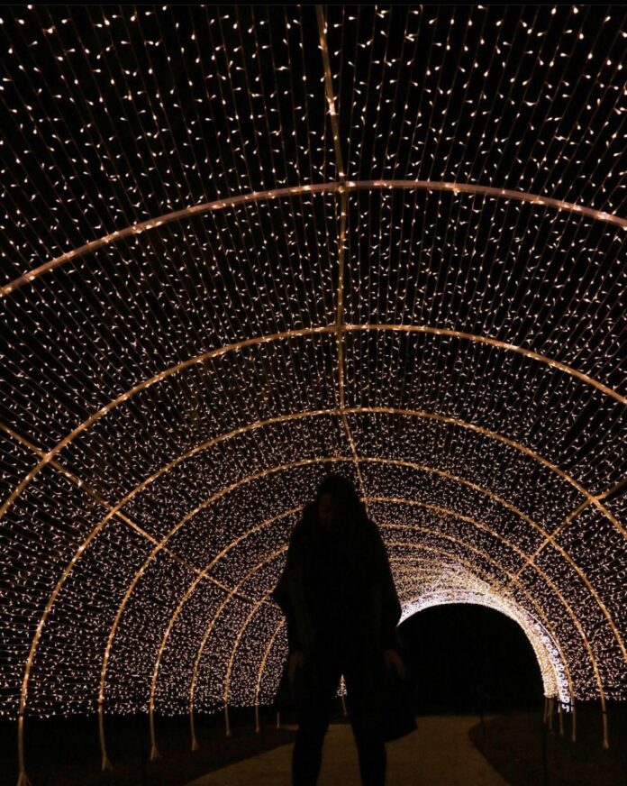 A person walks under a tunnel of lights at Pittsburgh Botanic Garden's Dazzling Nights.