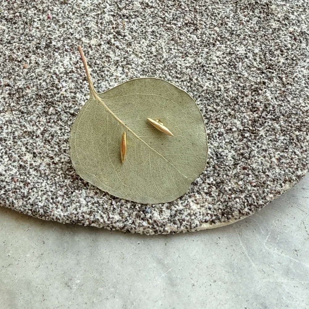 A small pair of gold earrings on a pale green leaf.