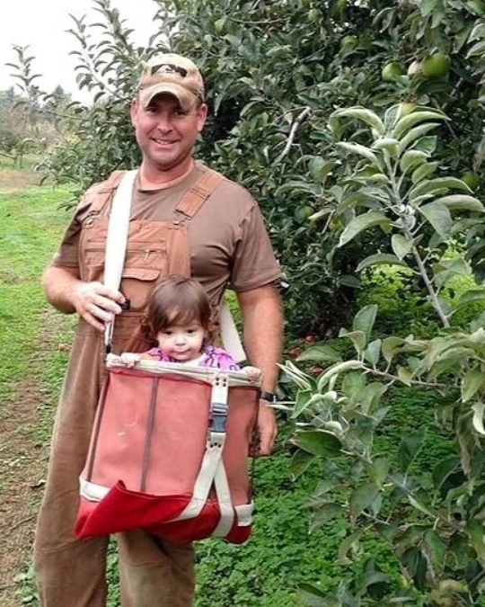 A smiling farmer wearing overalls and a baseball cap stands in an apple orchard, carrying a young child securely in a large red canvas harvesting bag suspended from his shoulder straps.