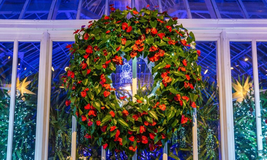 A green wreath full of poinsettias at Phipps conservatory.