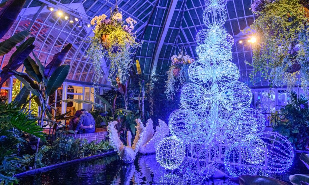 A large circular Christmas tree made out of light balls at Phipps Conservatory.