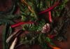 Winter Greens Recipes from Cheryl Alters Jamison Greens on a table