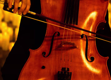 394073de 69a1 11f0 acfc 7203fda2f6d8