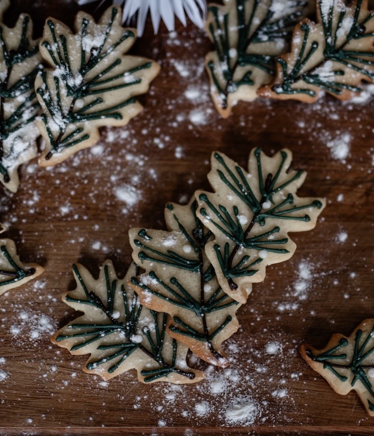 A close-up of rosemary decorated sugar cookies with green icing and powdered sugar.
