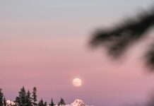 Your December 2025 Horoscope for the Full Moon in Gemini A pink sky behind a full moon with clouds covered in snow adn pine trees to represent a December horoscope.