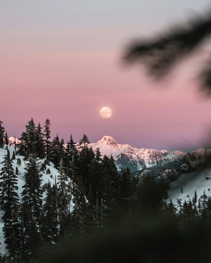 A pink sky behind a full moon with clouds covered in snow adn pine trees to represent a December horoscope.