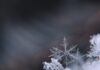 Your January 2026 Horoscope for the Full Moon in Cancer January snowflakes of ice on a window up-close.