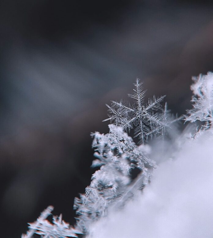 January snowflakes of ice on a window up-close.