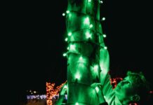 Festive Family-Fun at Kennywood’s Holiday Lights Three boys play with a tree wrapped in green lights.