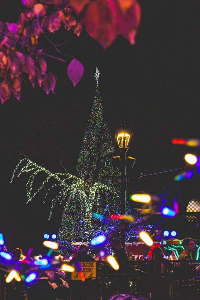 A Christmas tree in the distance with lights in front of it.