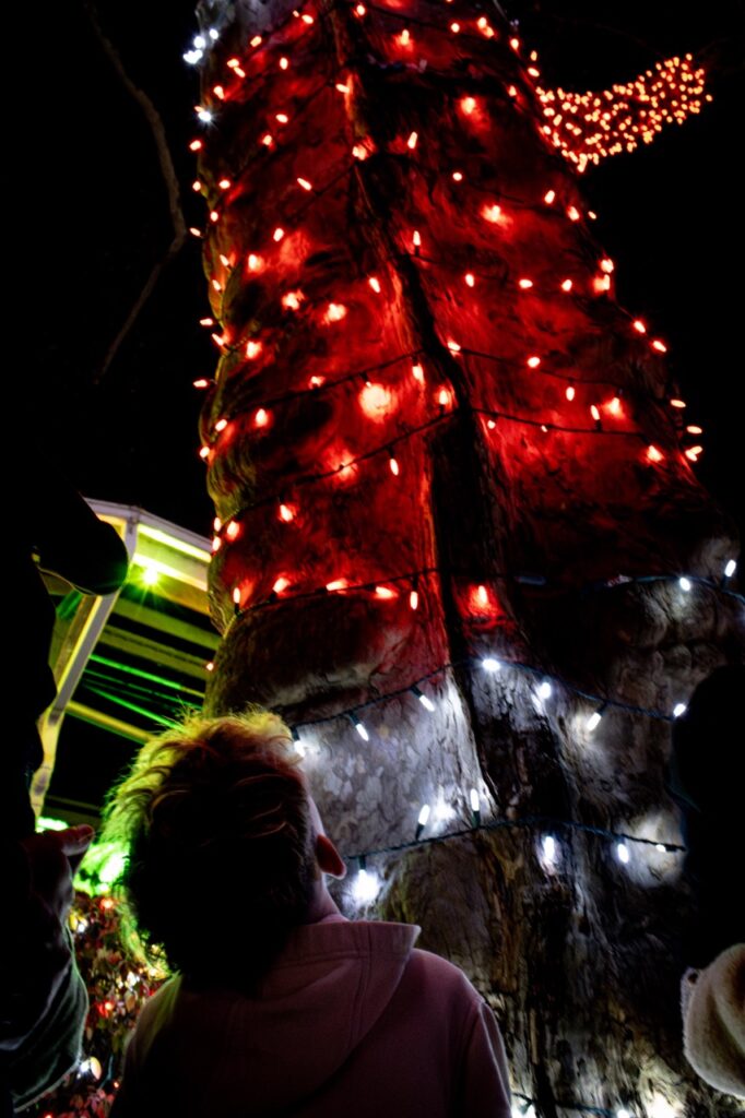 A boy looks up at a red and white lit tree.