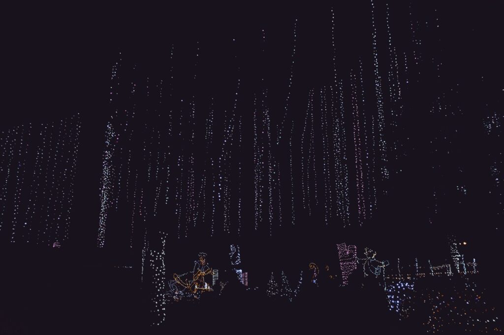 Lights hang down from trees.