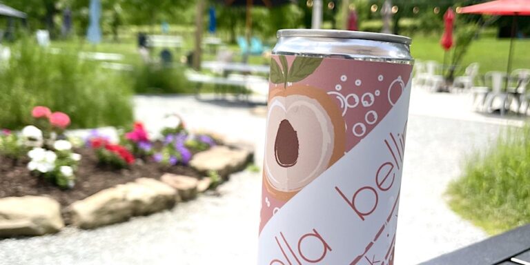 https cdn.evbuc .com images 511095859 256992058333 1 original 768x384