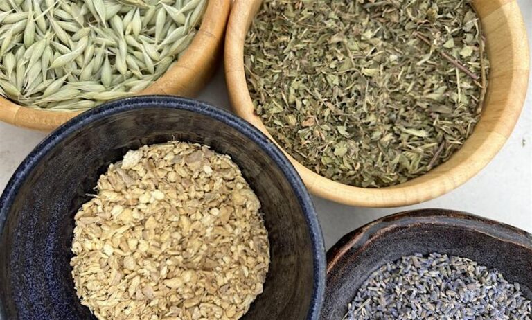 https   cdn.evbuc .com images 915798533 256702748240 1 original 768x462