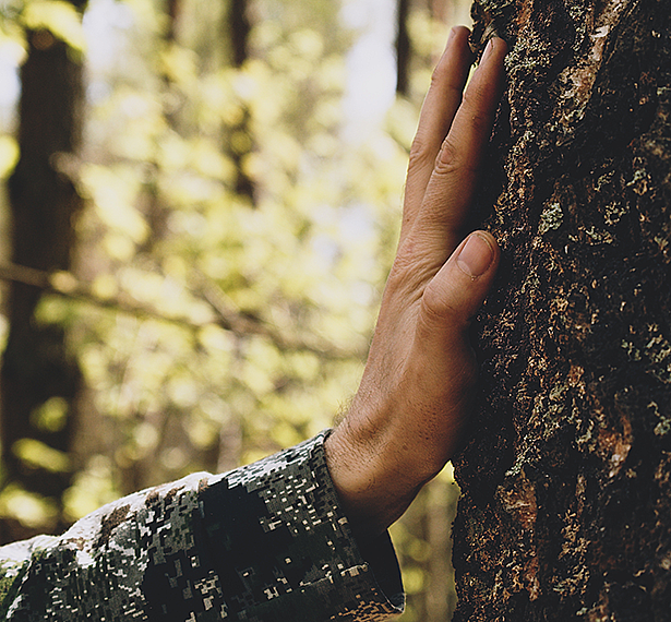 landing page forest bathing jan 6 v2