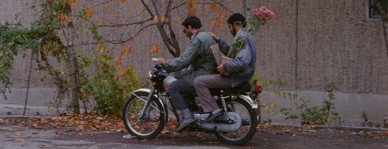 oevf9xoovlmu9il1l8q6bo3ccgfg 768x295