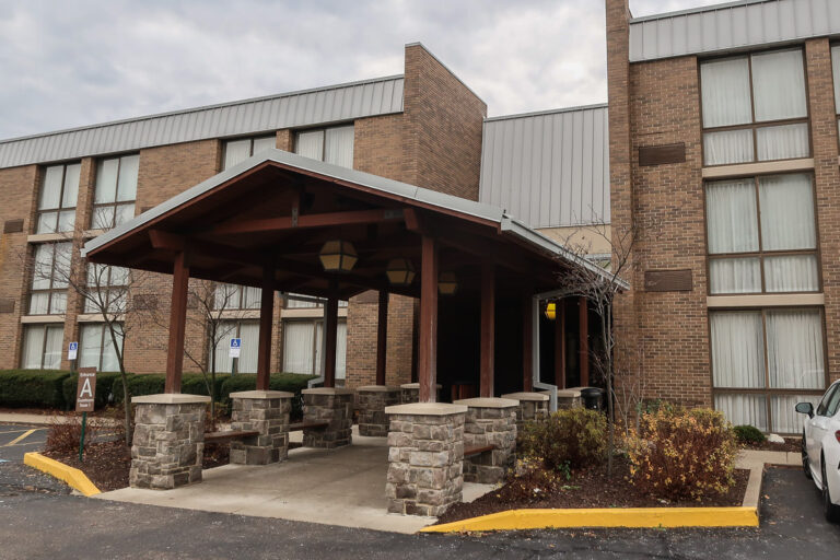 20191204 DTree GreenTree 0008 768x512