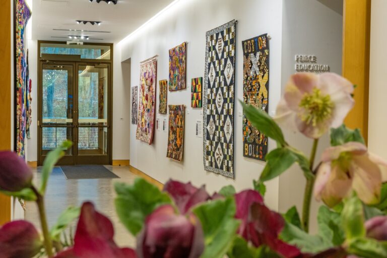 589297502 876280508303353 3227777525190580947 n 768x512