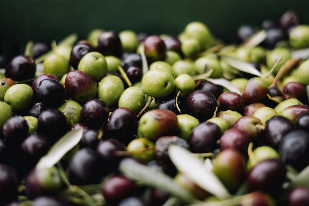 A bin full of green and black olives.
