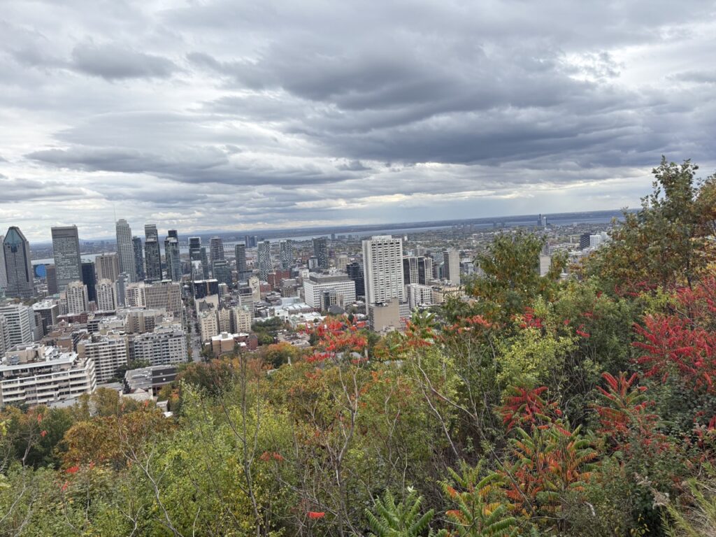 An overlook of Montreal through green trees.