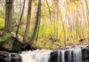 Leave Pittsburgh and Avoid the Chaos of the NFL Draft at These Destinations A waterfall in Allegheny park with trees in the background.