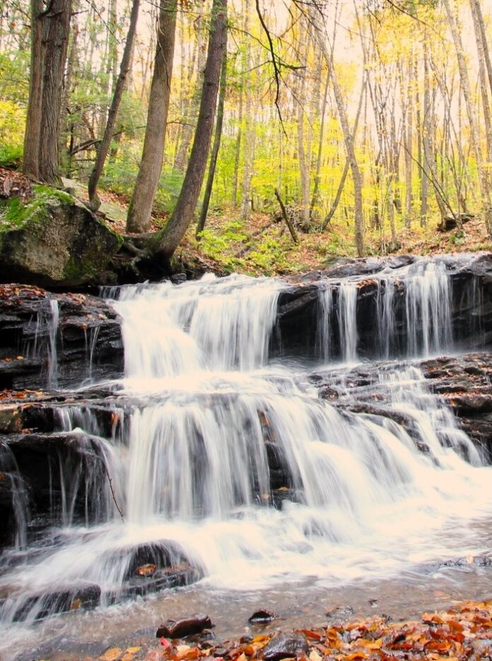 A waterfall in Allegheny park with trees in the background.