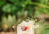 Smoked Old Fashioned Smoked Old Fashioned with cherry garnish and greenery in the background