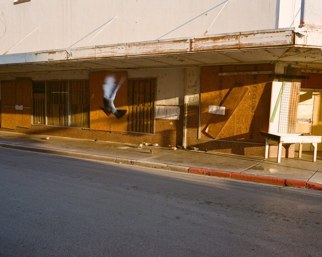 A broken down house with a bird flying in front of it.