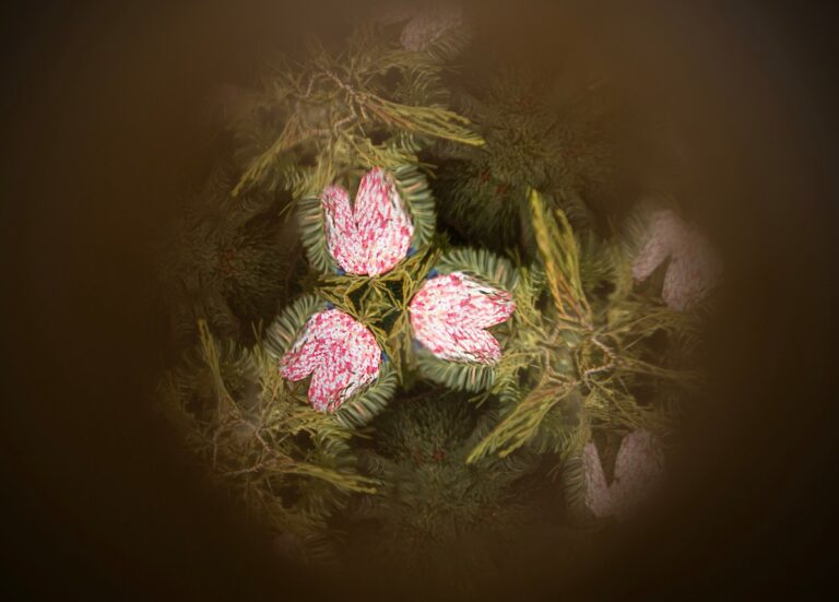 53524911486 1983b4348a 5k 768x551