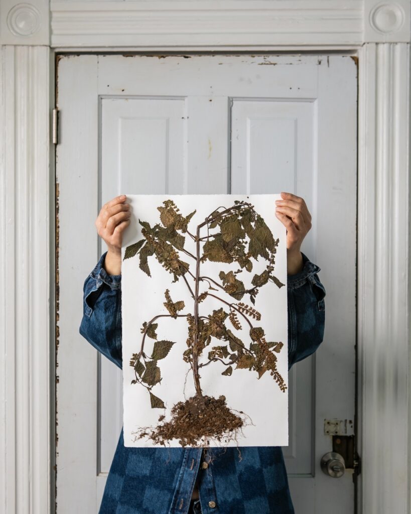 Hands hold up a plant tree print.
