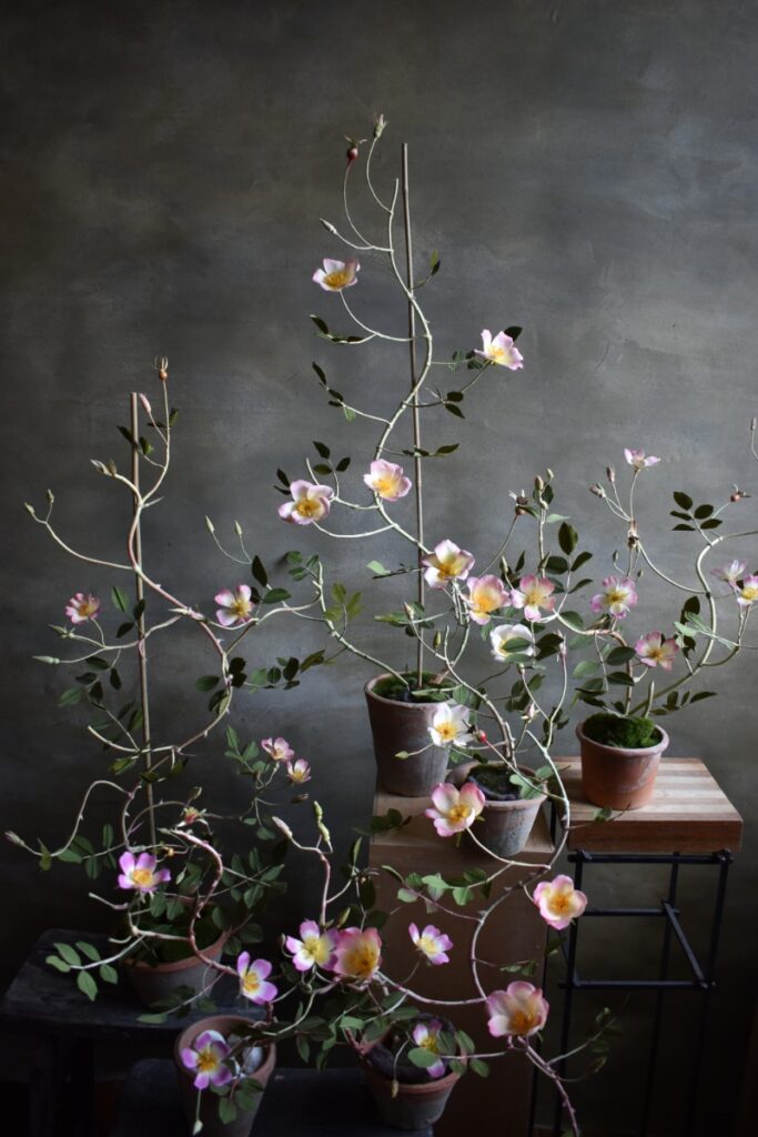 Handmade paper flowers by artist Sourabh Gupta, featuring delicate pink and yellow blossoms with intricate stems and green leaves in rustic clay pots.