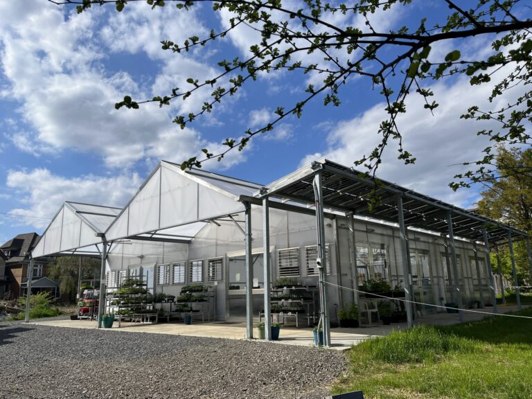 IMG 0301 scaled 1 768x576