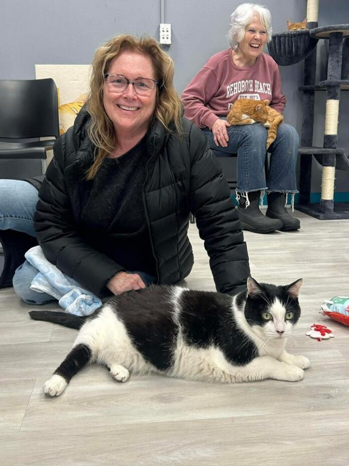 A woman sits on the floor behind a white and black cat.