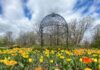 Best Trails to See Spring Flowers in Pittsburgh Flowers along a trail in Pittsburgh with a wire gazebo behind it.
